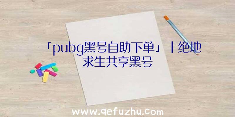 「pubg黑号自助下单」|绝地求生共享黑号